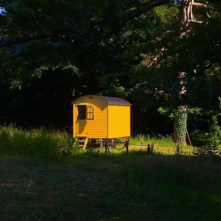 Blackstairs Shepherds Huts Killedmond Extérieur photo