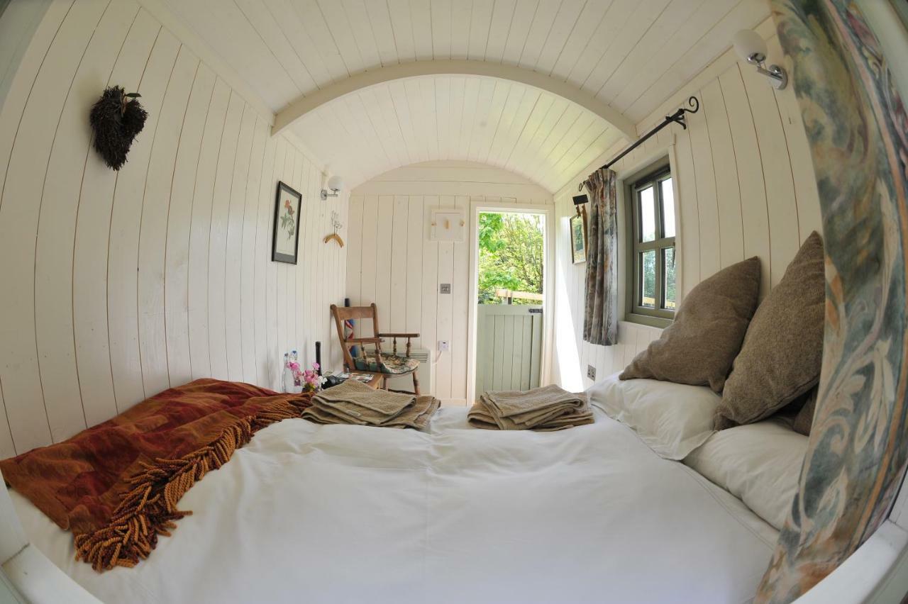 Blackstairs Shepherds Huts Killedmond Extérieur photo