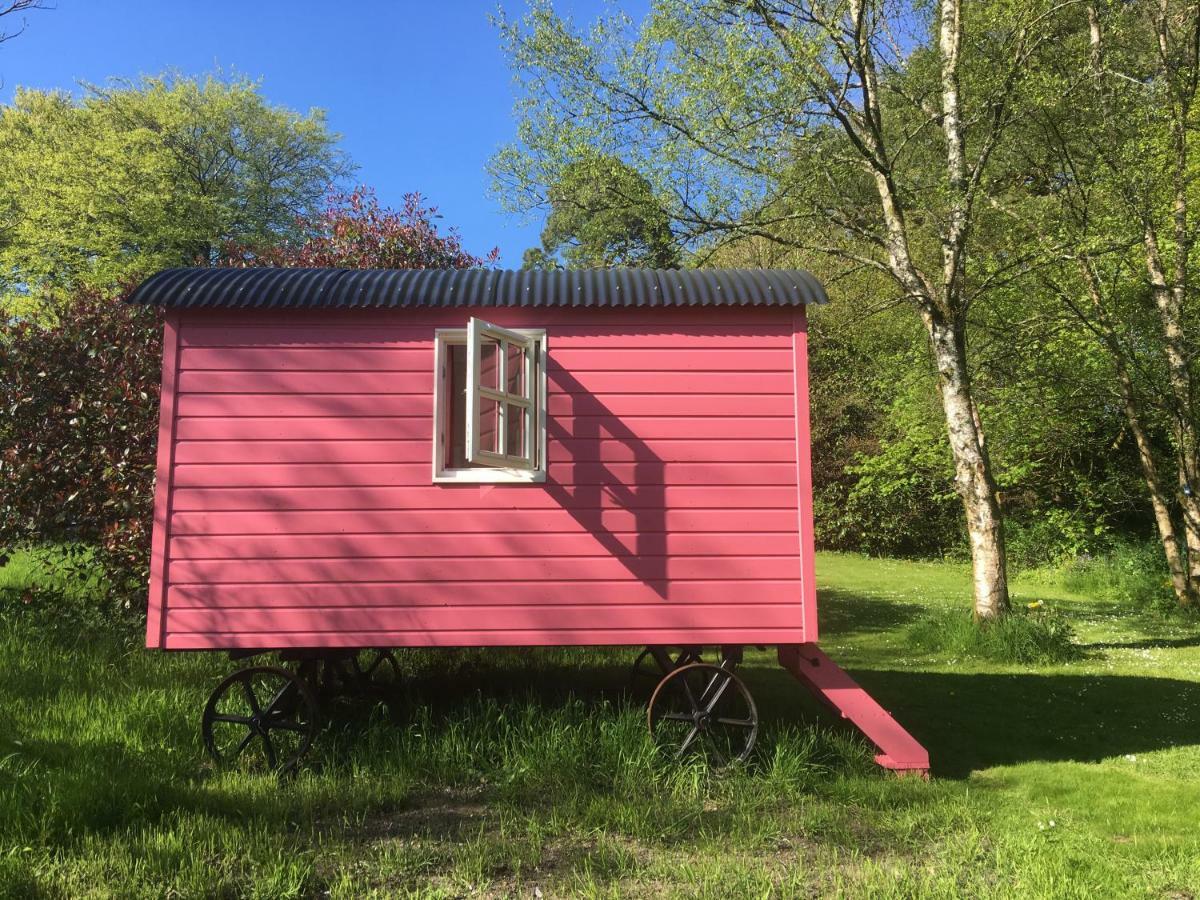 Blackstairs Shepherds Huts Killedmond Extérieur photo